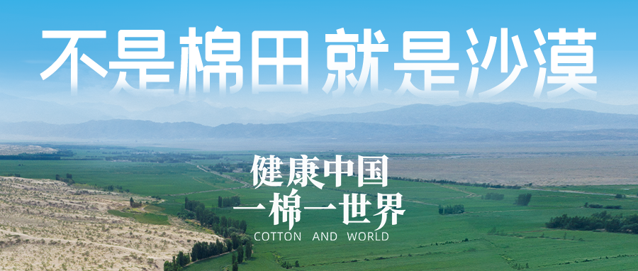 链接天下，，，，，引领康健生涯，，，，，宝运莱集团受邀亮相首届链博会