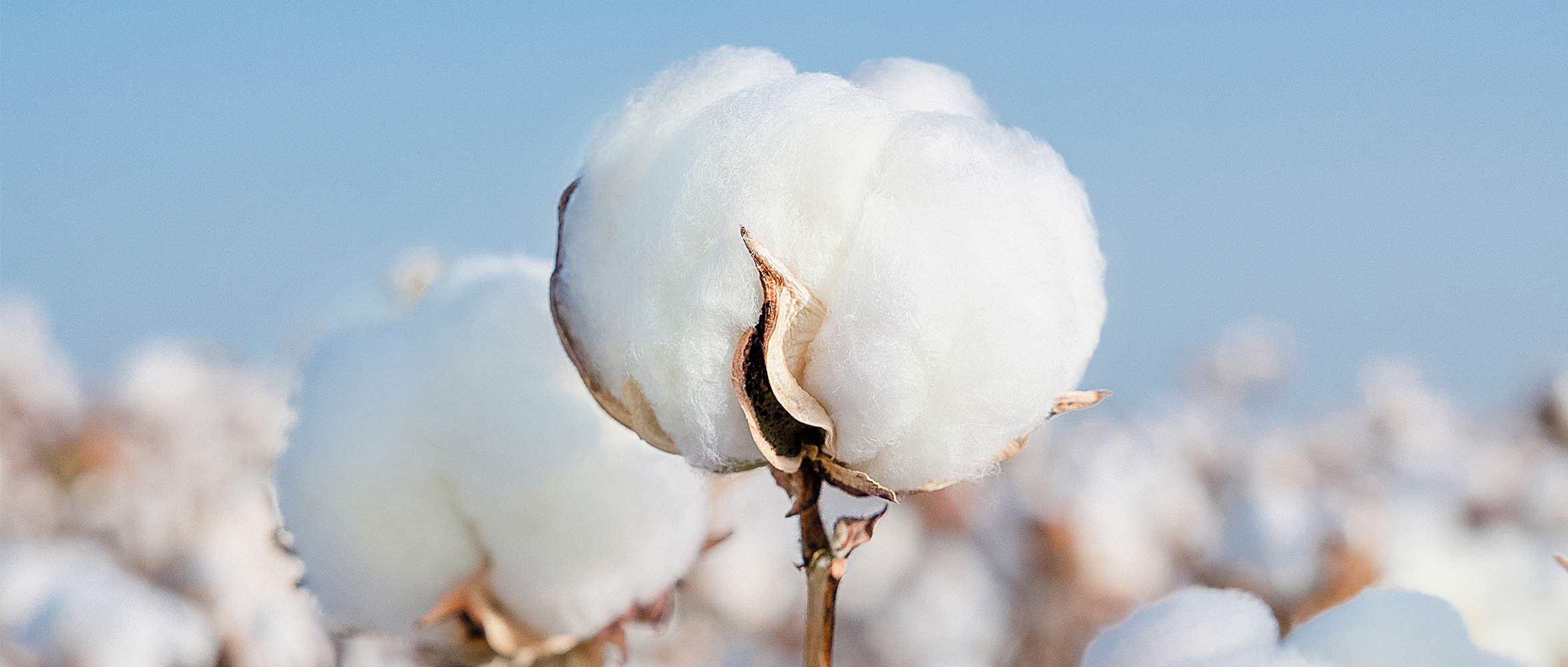 一图读懂宝运莱集团2024年度ESG报告